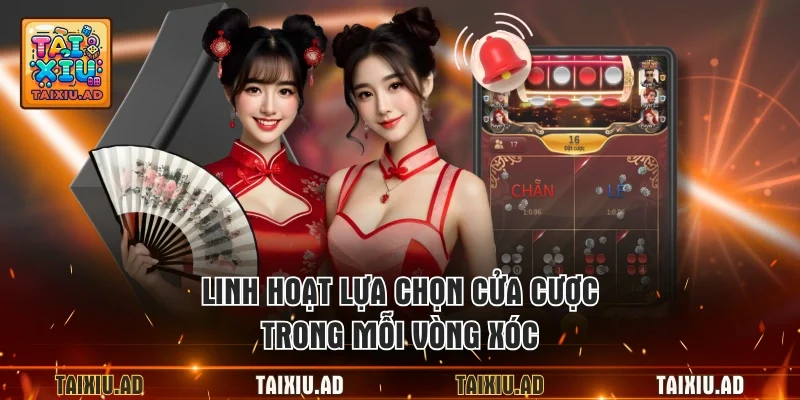 Linh hoạt lựa chọn cửa cược trong mỗi vòng xóc