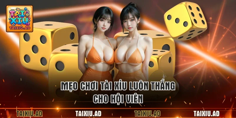 Mẹo chơi tài xỉu luôn thắng cho hội viên