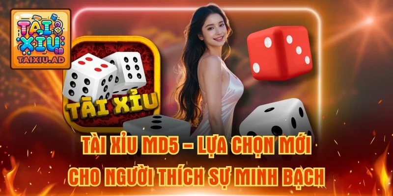 Tài Xỉu MD5 - Lựa Chọn Mới Cho Người Thích Sự Minh Bạch